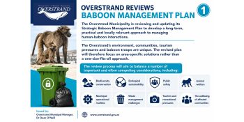 Strategic Baboon Management Plan