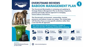 Strategic Baboon Management Plan